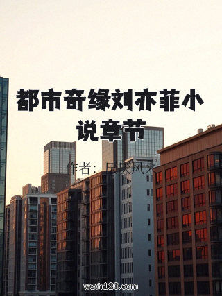 都市奇缘刘亦菲小说章节