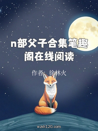 n部父子合集笔趣阁在线阅读