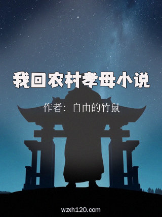 我回农村孝母小说