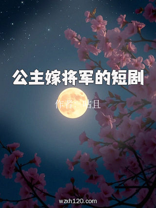 公主嫁将军的短剧