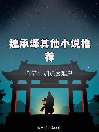 魏承泽其他小说推荐