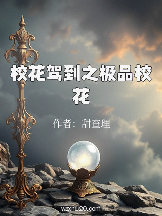 校花驾到之极品校花