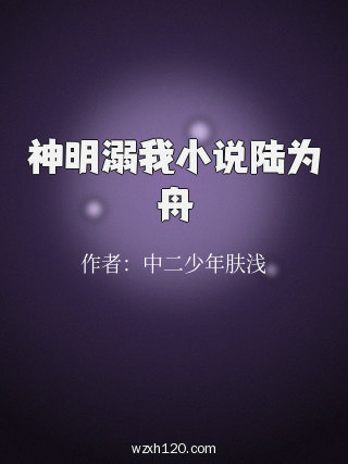 神明溺我小说陆为舟