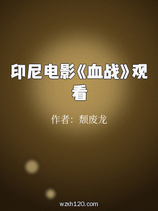 印尼电影《血战》观看
