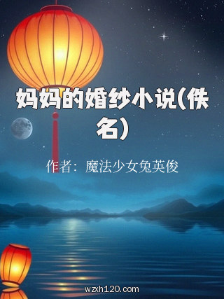 妈妈的婚纱小说(佚名)