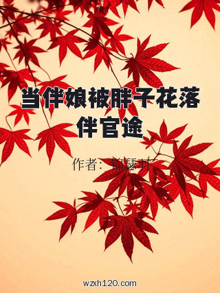 当伴娘被胖子花落伴官途