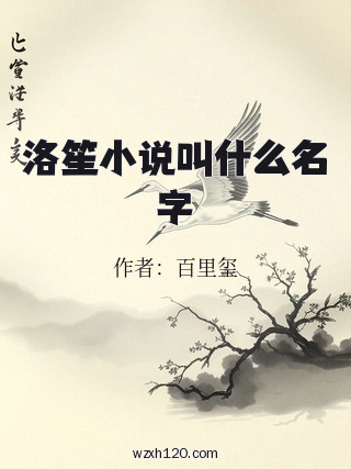 洛笙小说叫什么名字