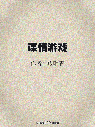 谋情游戏