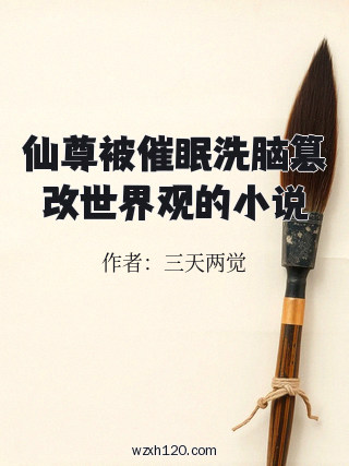 仙尊被催眠洗脑篡改世界观的小说
