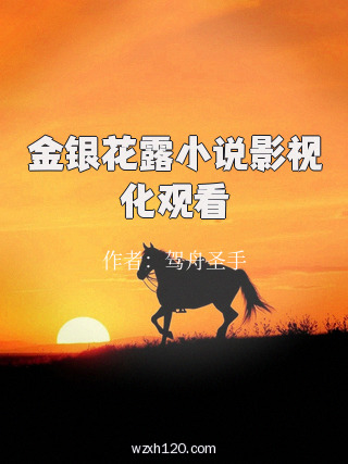 金银花露小说影视化观看
