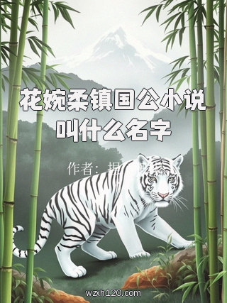 花婉柔镇国公小说叫什么名字