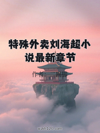 特殊外卖刘海超小说最新章节