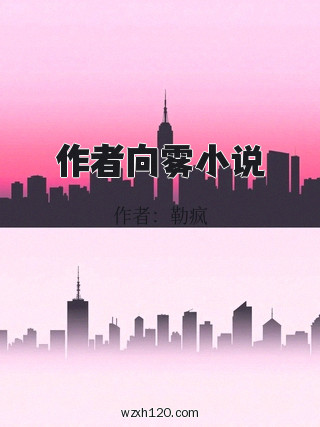 作者向雾小说