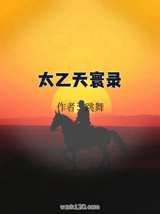 太乙天寰录