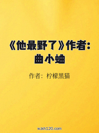 《他最野了》作者:曲小蛐