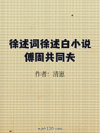 徐述词徐述白小说傅周共同夫