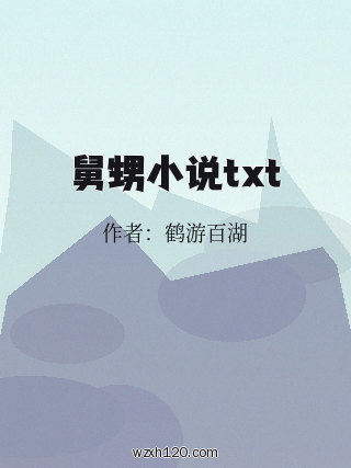 舅甥小说txt