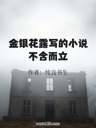 金银花露写的小说不含而立