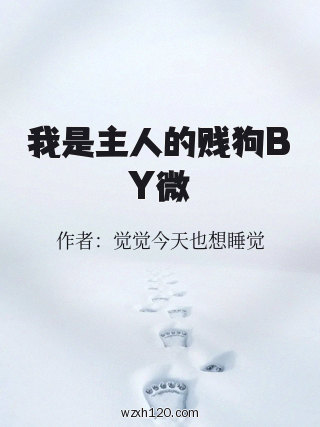 我是主人的贱狗BY微