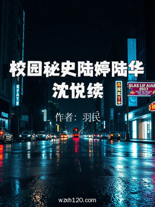 校园秘史陆婷陆华沈悦续