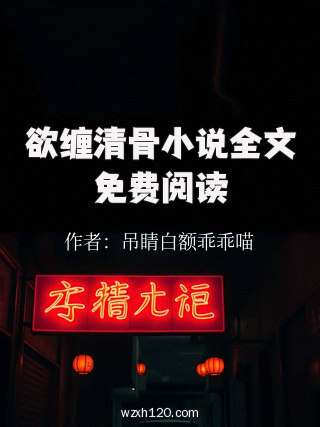 欲缠清骨小说全文免费阅读