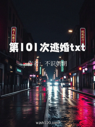 第101次逃婚txt
