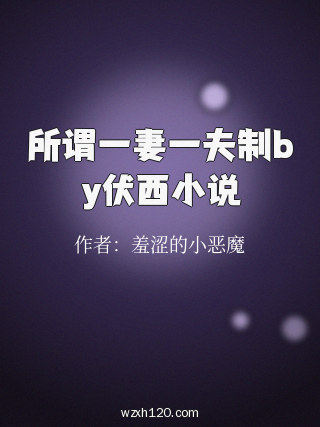所谓一妻一夫制by伏西小说
