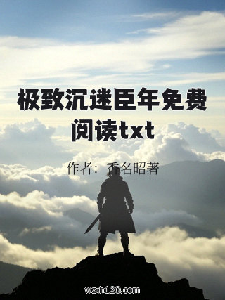 极致沉迷臣年免费阅读txt