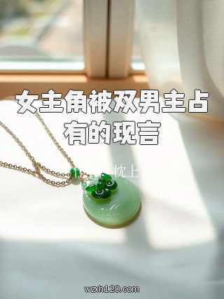 女主角被双男主占有的现言