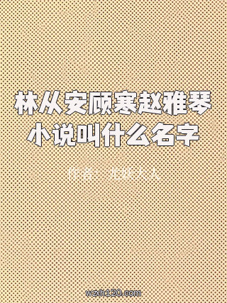 林从安顾寒赵雅琴小说叫什么名字
