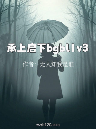 承上启下bgbl1v3