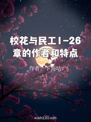 校花与民工1-26章的作者和特点
