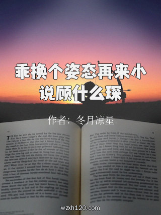 乖换个姿态再来小说顾什么琛
