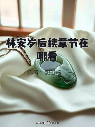 林安岁后续章节在哪看