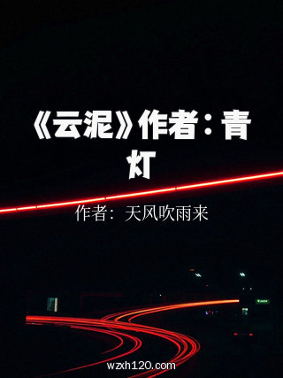 《云泥》作者∶青灯