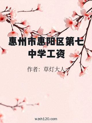 惠州市惠阳区第七中学工资