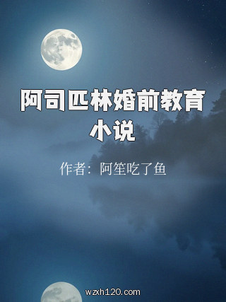阿司匹林婚前教育小说