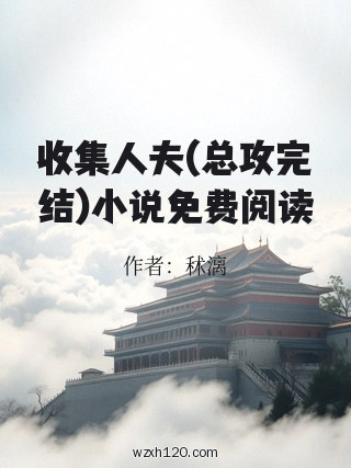 收集人夫(总攻完结)小说免费阅读