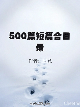 500篇短篇合目录