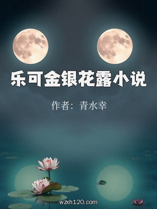 乐可金银花露小说