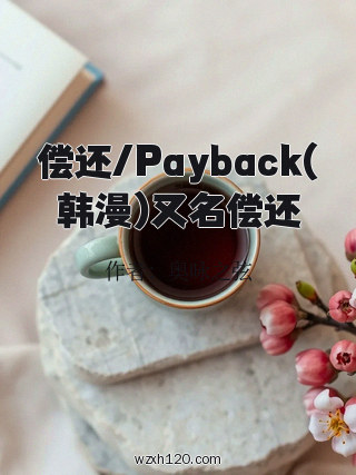 偿还/Payback(韩漫)又名偿还