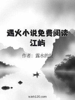 遇火小说免费阅读江屿