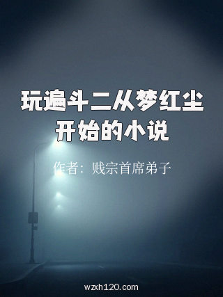 玩遍斗二从梦红尘开始的小说
