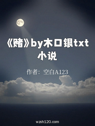 《赌》by木口银txt小说
