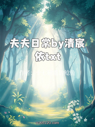夫夫日常by清宸依txt