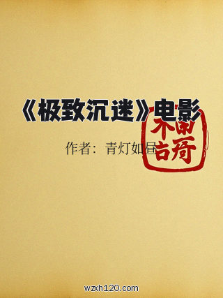 《极致沉迷》电影