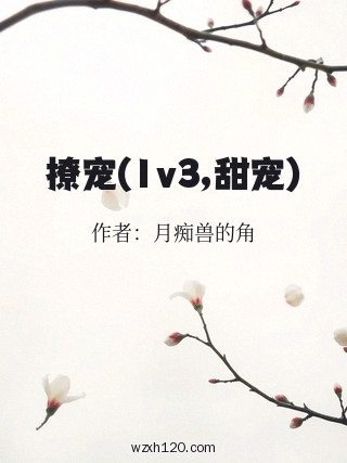 撩宠(1v3,甜宠)