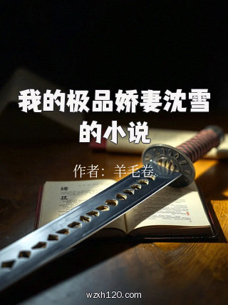 我的极品娇妻沈雪的小说