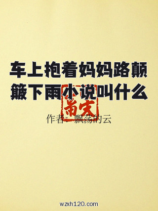 车上抱着妈妈路颠簸下雨小说叫什么