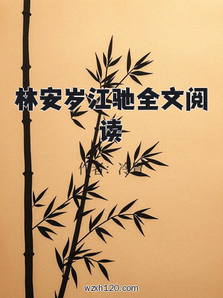 林安岁江驰全文阅读